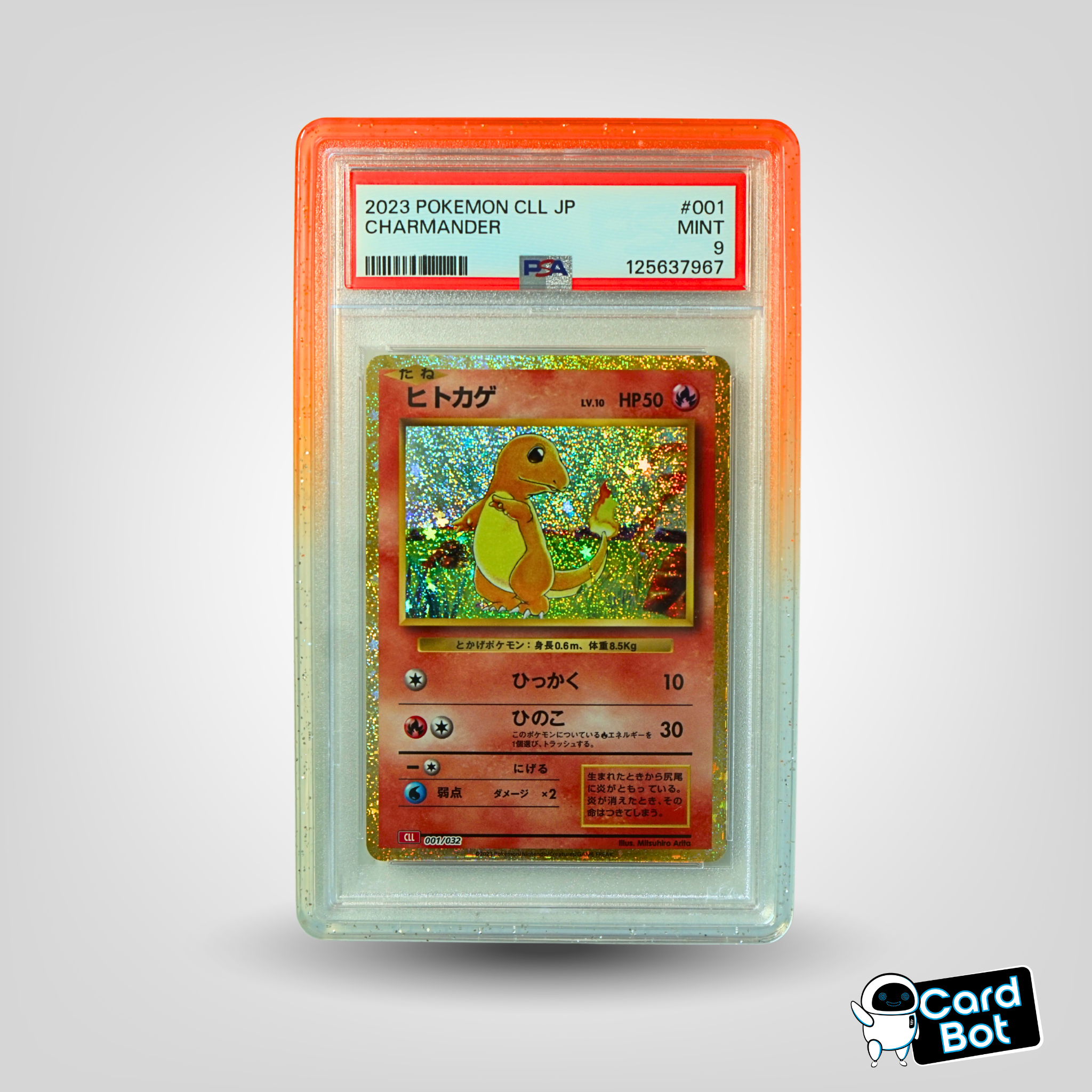 Premium PSA Bumper Guard - Eruption