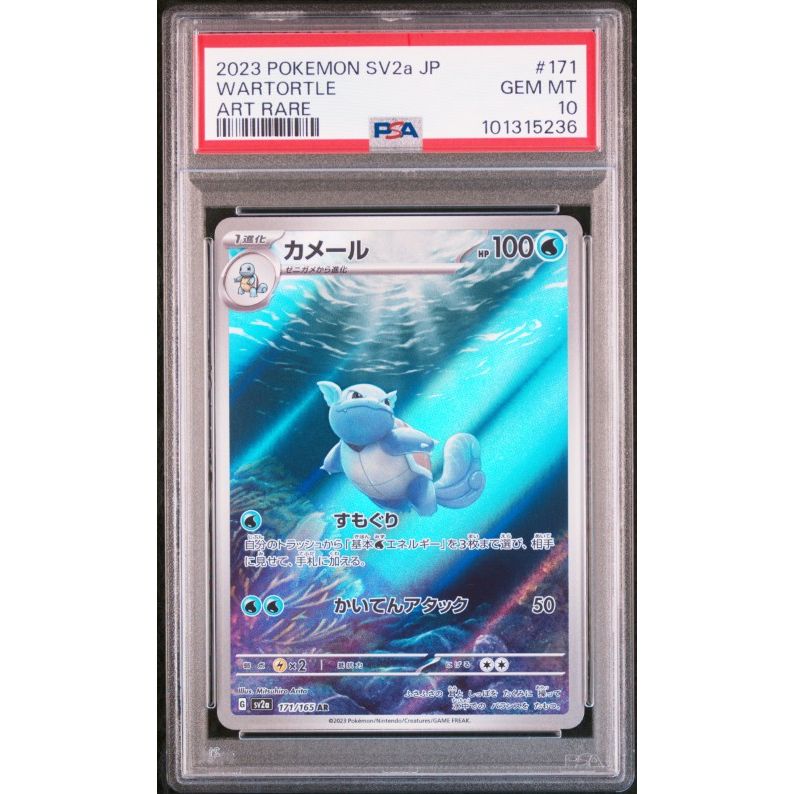 2023 Pokemon Japanese Sv2a-Pokemon 151 #171 Wartortle Art Rare PSA 10