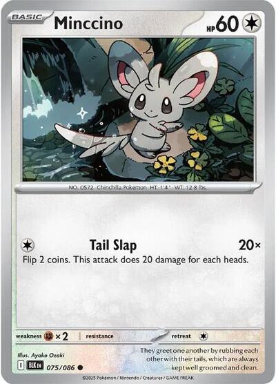Scarlet & Violet Black Bolt - 075/086 Minccino Common