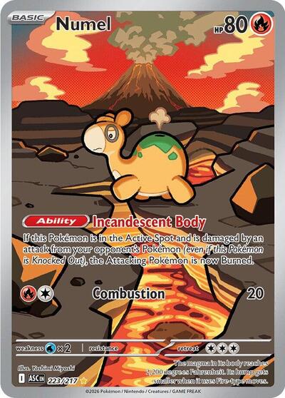 Mega Evolution Ascended Heroes - 223/217 Numel Illustration Rare