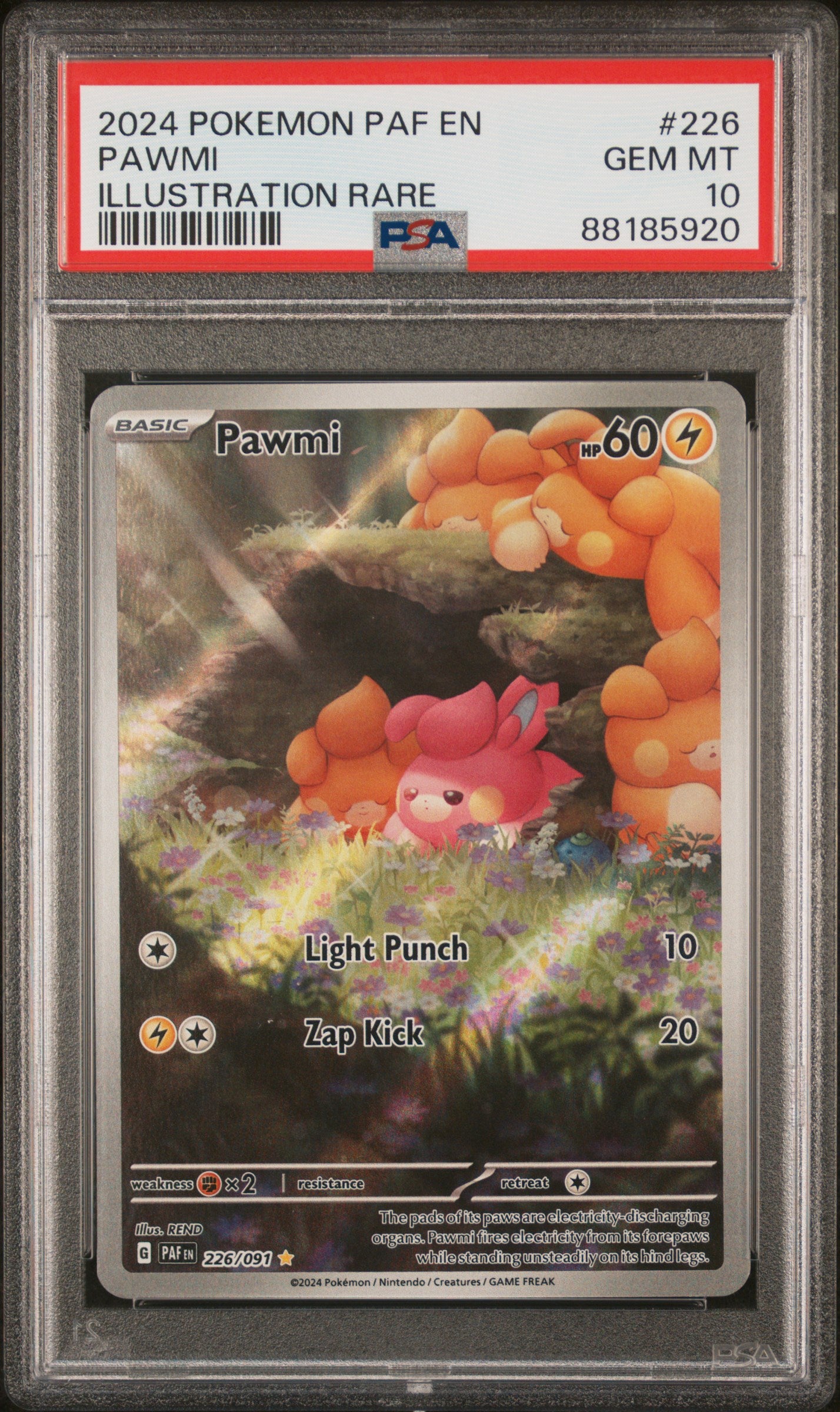 Pokémon - Pawmi Paldean Fates 226/091 (Illustration Rare) - PSA 10 (GEM-MINT)